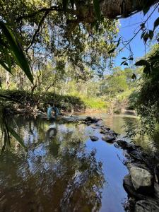 瑟格莱什布尔Byrahalli Bliss riverside camping的悬在河上树上的秋千