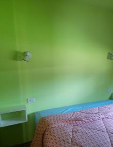 马德拉潘帕斯Quetrihue的一间卧室设有一张床和绿色的墙壁