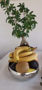 圣费利切-奇尔切奥Il fiore di loto的一大堆香蕉和一株植物在碗里
