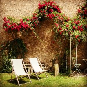 欧坦Le Cocand的两把椅子坐在红色花的墙上