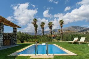 丹诺尼Villas Kozilis - Kozilis Estate的棕榈树庭院内的游泳池
