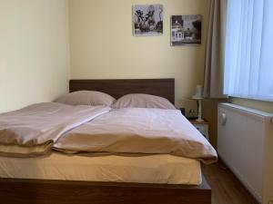 瓦赫河畔新梅斯托Penzion Park - 2 izbové apartmány的卧室内的一张带白色床单和枕头的床