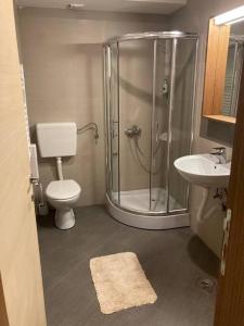 布尔泽策Apartman Jelka Brzece的带淋浴、卫生间和盥洗盆的浴室