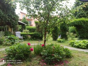 奥西耶克Cocic Garden的种满鲜花、一棵树和一把椅子的花园