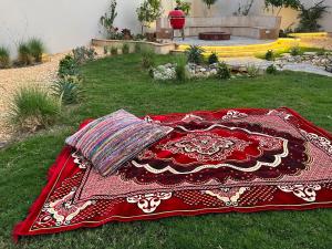 阿布扎比Casa Shakhbout的躺在院子里的草上的一个红色地毯