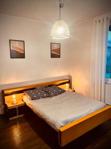 圣迪耶Petit prince chambre à louer的一间卧室配有一张床和一个吊灯
