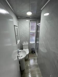 莱姆河下游的纽卡尔斯ISUITES的一间带水槽、卫生间和淋浴的浴室