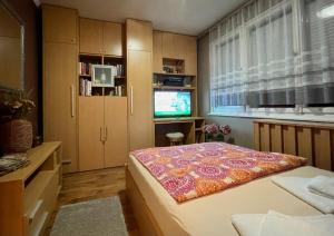 瑙吉考尼饶Lola Lakásapartman Nagykanizsa的一间小卧室,配有一张床和电视