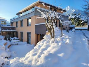 施皮茨Oase zum SEIN的院子里的一座房子,被雪覆盖着,有一棵树