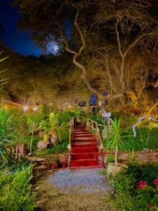 伊察Rochabus的夜晚花园里的楼梯