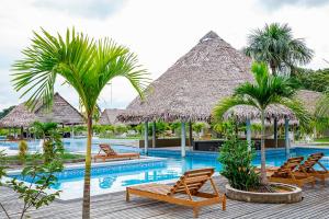 Padre CochaIrapay Amazon Lodge - Asociado Casa Andina的一个带椅子和棕榈树的度假游泳池