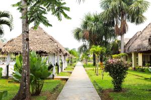 Padre CochaIrapay Amazon Lodge - Asociado Casa Andina的一条通往棕榈树度假村的路径