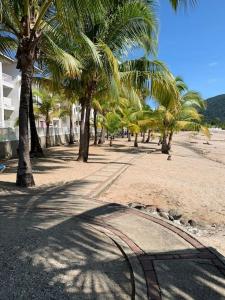 ArraijÃ¡nApartamento vacacional - disfruta playa y toboganes a 32km de la ciudad的沙滩上一排棕榈树