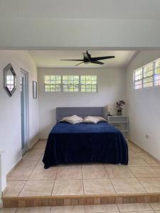 伊莎贝拉Villa Del Carmen Family Vacation Home的一间卧室配有一张床和吊扇
