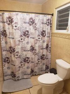 伊莎贝拉Villa Del Carmen Family Vacation Home的一间带卫生间和淋浴帘的浴室