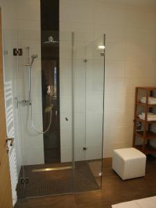 因斯布鲁克Apartments Karlhof的带淋浴的浴室和玻璃门
