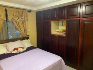 阿拉胡埃拉Casa Lupita Alajuela的一间卧室配有一张床和一个大型木制橱柜