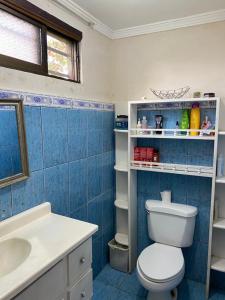 阿拉胡埃拉Casa Lupita Alajuela的蓝色和白色的浴室设有卫生间和水槽