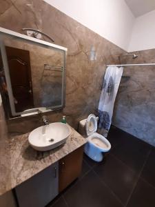 乌提Orchard Valley View Home Stay的一间带水槽、卫生间和镜子的浴室