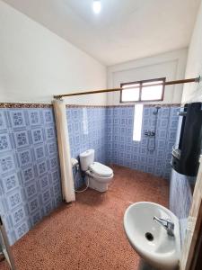蓝梦岛乐伯甘马德旅馆的一间带卫生间和水槽的浴室