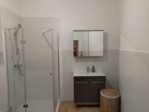 波兹南Prad 543的浴室配有盥洗盆和带镜子的淋浴