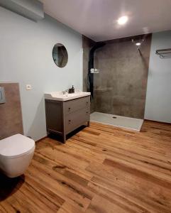 Sainte-OdeLes chambres de la fontaine de brul的浴室配有卫生间、盥洗盆和淋浴。