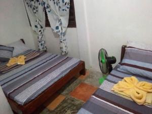 爱妮岛SHALOM CAMP的一间卧室配有两张床和风扇