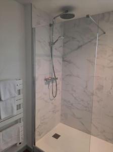 Brazey-en-PlaineSuperbe appartement climatisé au centre ville的浴室里设有玻璃门淋浴