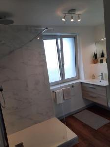 Brazey-en-PlaineSuperbe appartement climatisé au centre ville的一间带玻璃淋浴和水槽的浴室