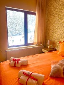 波罗维茨Hotel Forest Star on the Ski Slope的卧室配有带2条毛巾的窗户,位于床上