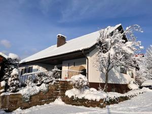 埃登科本Nickel Haus的雪覆盖着树的房子