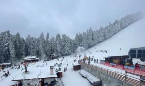 波罗维茨Hotel Forest Star on the Ski Slope的一群人,在雪地的滑雪场