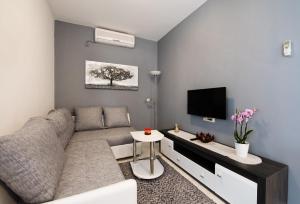 奥库格哥恩基Apartments Care的带沙发和电视的客厅