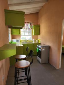 布里奇敦El Palacio Hidden City Place #2的厨房配有绿色橱柜和2个酒吧凳