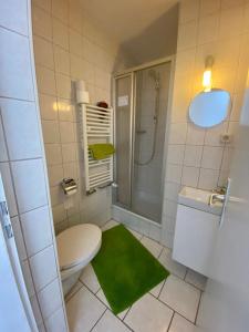 GroßbreitenbachFeWo hohetanne1的一间带卫生间和淋浴的浴室以及绿色地毯。