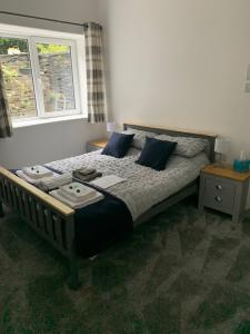 马汉莱斯The Slaters Arms Corris的一间卧室配有一张带蓝色枕头的床和一扇窗户。