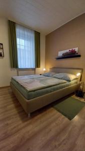 格拉茨Ferienwohnung Christa的一间卧室设有一张大床和窗户