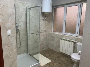 卢戈日pensiunea grecu的浴室设有玻璃淋浴间和卫生间