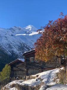 萨斯费Châlet Birkhahn的山中雪地小木屋