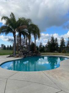 马德拉Beautiful peaceful desirable home in Madera Rancho的公园内种有棕榈树的游泳池