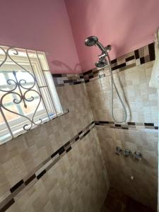圣玛丽Seaview Villa的带淋浴的浴室,带窗户