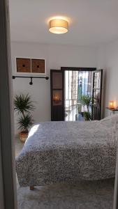 格拉纳达Casa Carmen的植物间内一间卧室,配有一张床