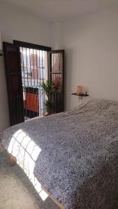 格拉纳达Casa Carmen的一间卧室设有一张大床和窗户
