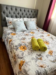 塔尔卡Casa Sector Oriente Talca的床上有两张枕头,秋叶在上面