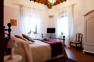蒙泰斯佩尔托利Casa Vacanze Rondini Blu的一间卧室设有一张床、一台电视和窗户。