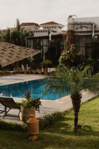 丹吉尔Dar Tanja Boutique Hotel的游泳池旁的棕榈树