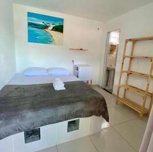巴伊亚福尔莫萨Pé na Areia的一间带床的卧室,位于带梯子的房间