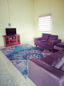 HomeStay Abah Alor Pongsu的带沙发和地毯的客厅