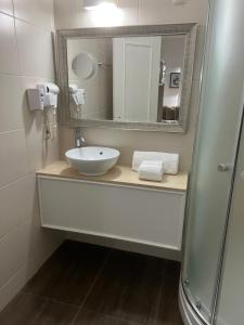 蒙得维的亚阿尔韦亚尔酒店的一间带水槽和镜子的浴室