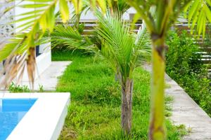 石垣岛Blue Ocean Resort的游泳池旁的棕榈树